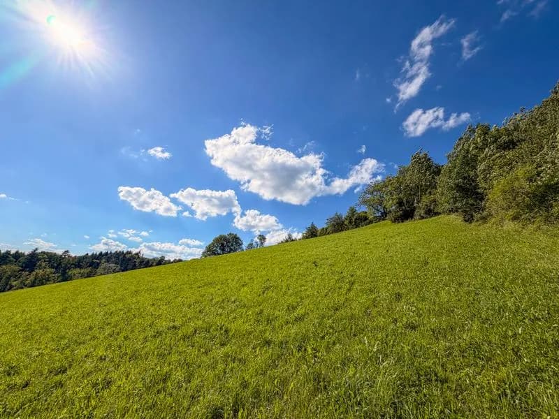 Grundstück kaufen in Urfahr-Umgebung – 3 935 m², € 1.770.000 – Bild 7 von 7