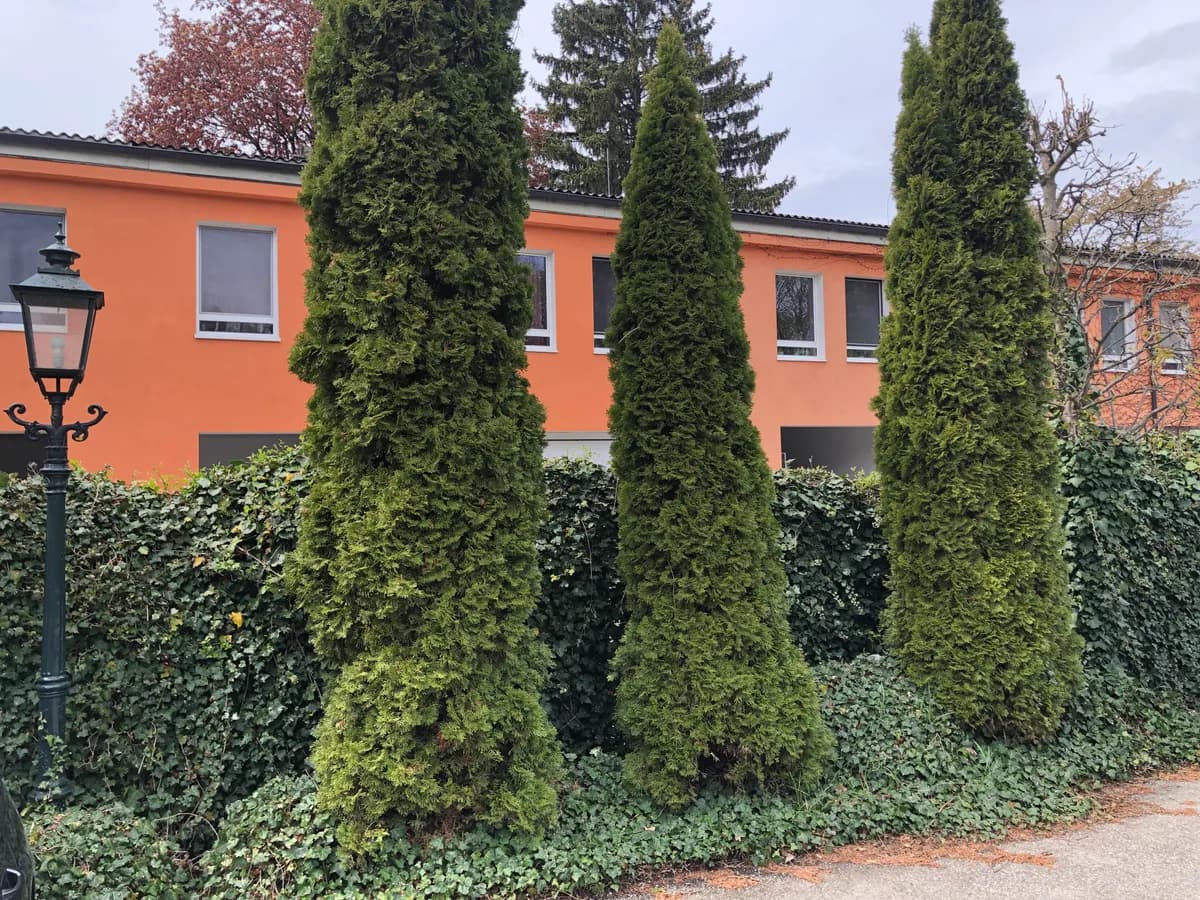 3-Zimmer-Wohnung mieten in Wels – 71 m², € 850 – Bild 12 von 13