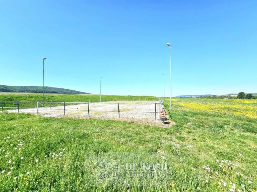 10-Zimmer-Immobilie kaufen in Sankt Pölten Land – 500 m², € 2.990.000 – Bild 8 von 47