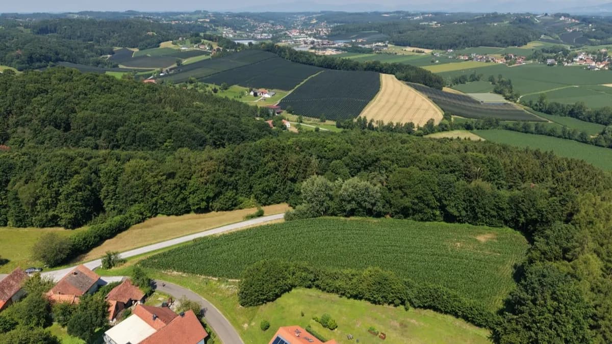 Grundstück kaufen in Weiz – 15 462 m², € 53.300 – Bild 3 von 3