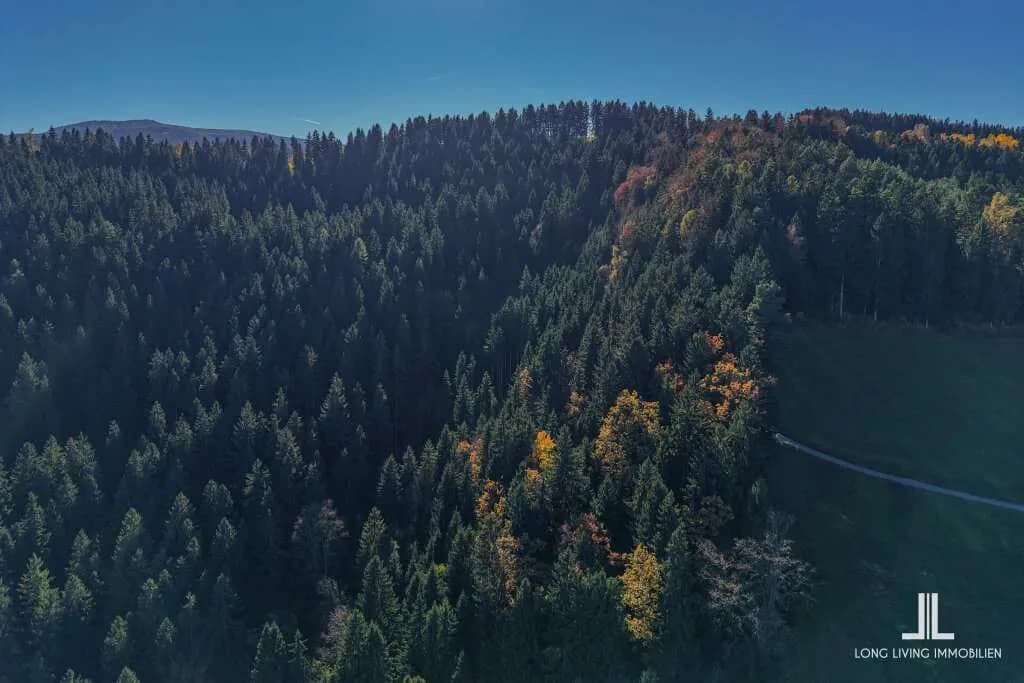 Grundstück kaufen in Voitsberg – 23 765 m², € 197.000 – Bild 11 von 13