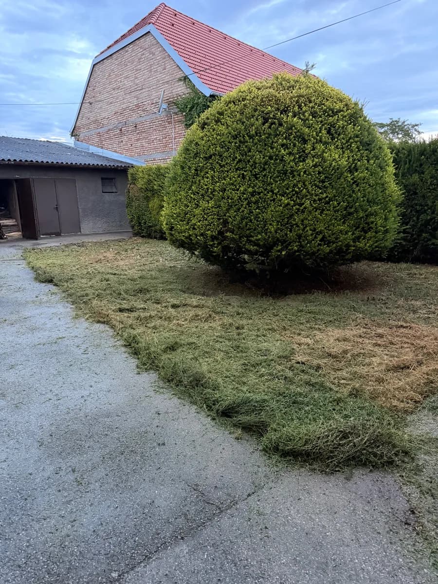 Haus kaufen in Eisenstadt - Umgebung – 90 m², € 235.000 – Bild 2 von 15