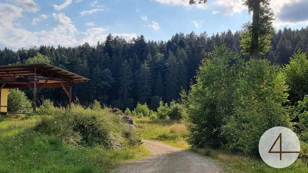 Gewerbeimmobilie kaufen in Gmünd – 1 900 m², € 690.000