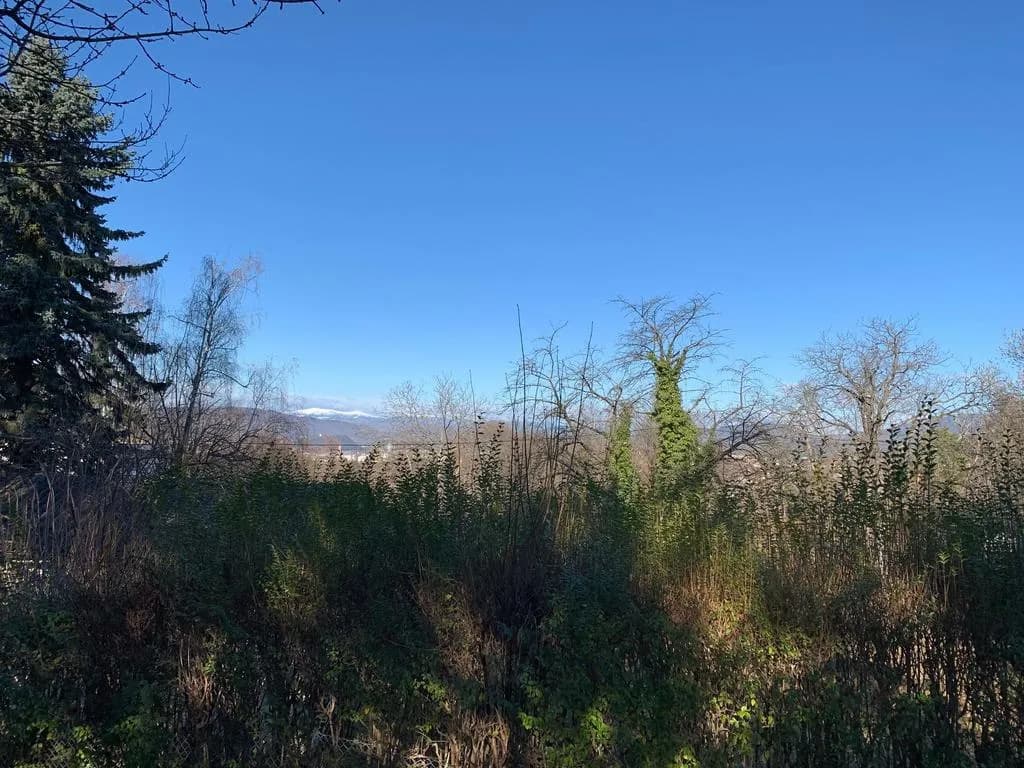 Grundstück kaufen in Graz – 800 m², € 338.900 – Bild 6 von 7