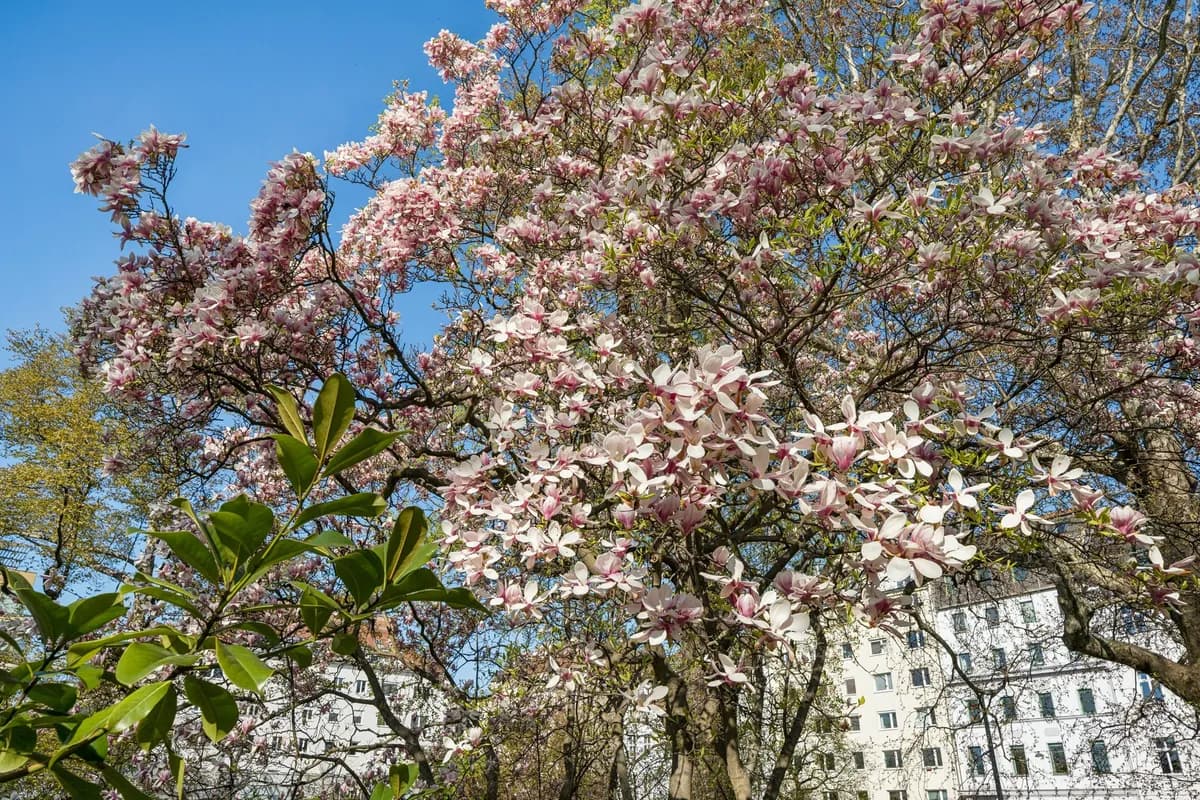 3-Zimmer-Wohnung kaufen in Wien – 116 m², € 1.175.000 – Bild 14 von 17