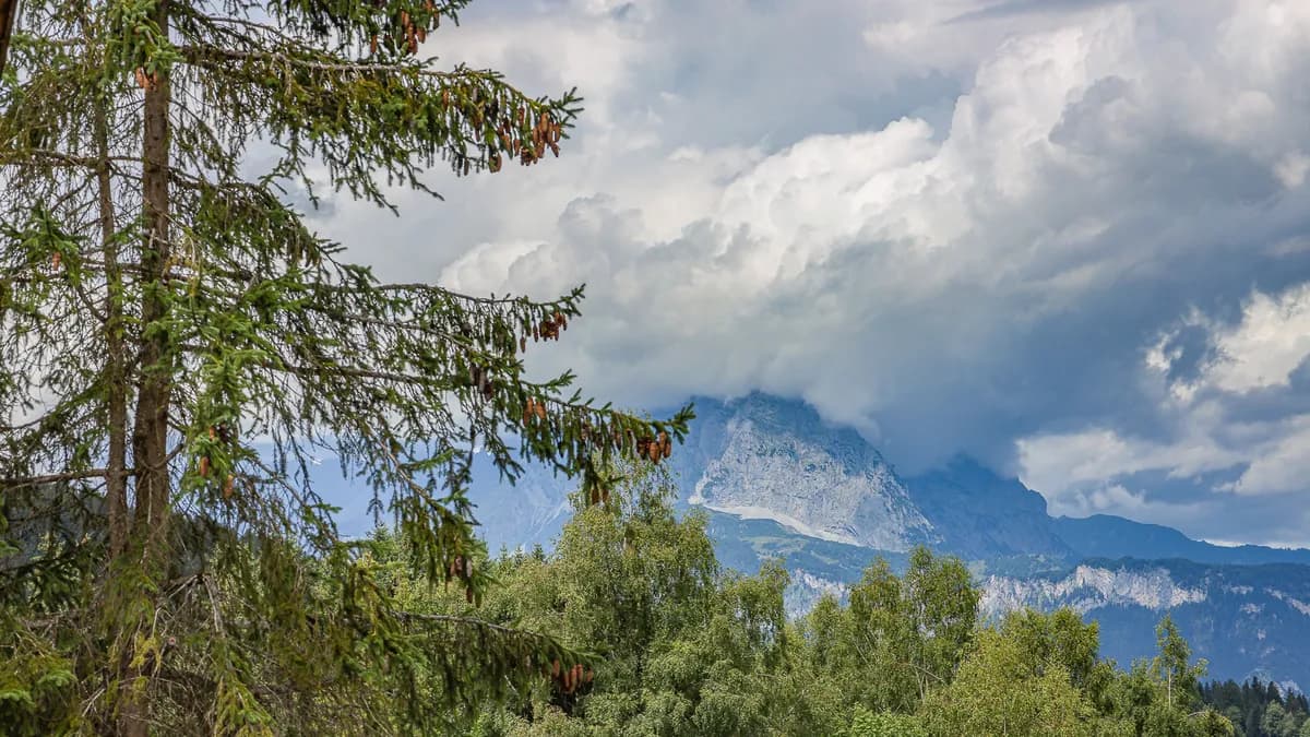 5-Zimmer-Haus kaufen in Kitzbühel – 188,67 m², € 2.500.000 – Bild 30 von 32
