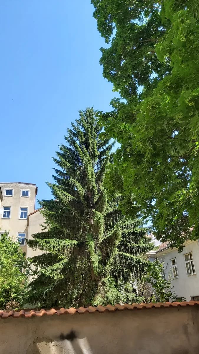 3-Zimmer-Wohnung kaufen in Wien – 105 m², € 449.000 – Bild 39 von 59