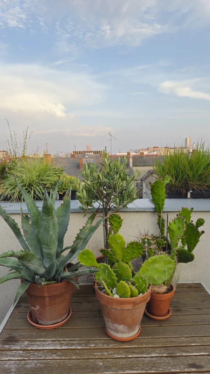 3-Zimmer-Wohnung kaufen in Wien – 105 m², € 449.000 – Bild 49 von 59