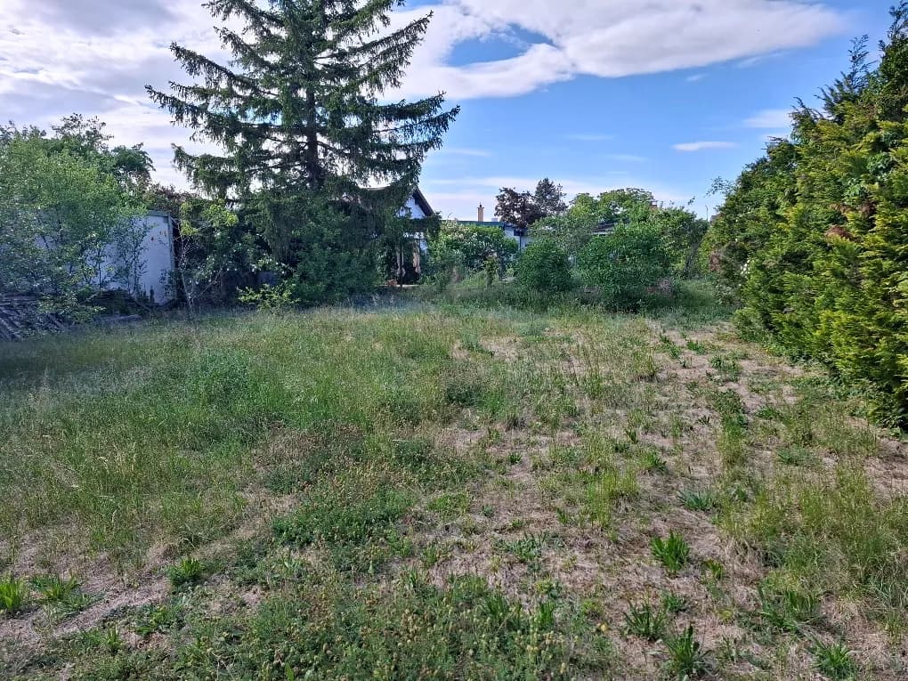 Grundstück kaufen in Wiener Neustadt Land – 1 500 m², € 498.000 – Bild 3 von 12