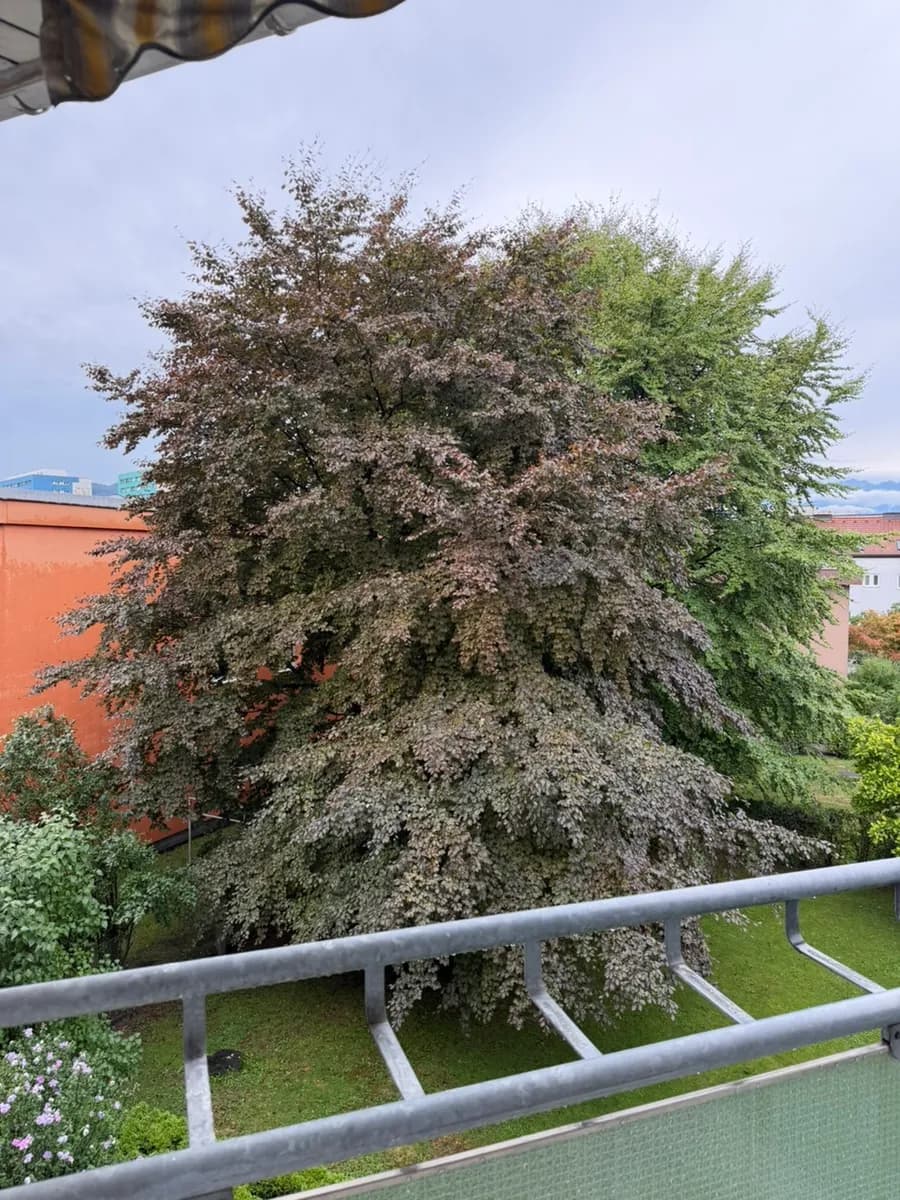 2-Zimmer-Wohnung mieten in Innsbruck – 54 m², € 1.480 – Bild 10 von 13