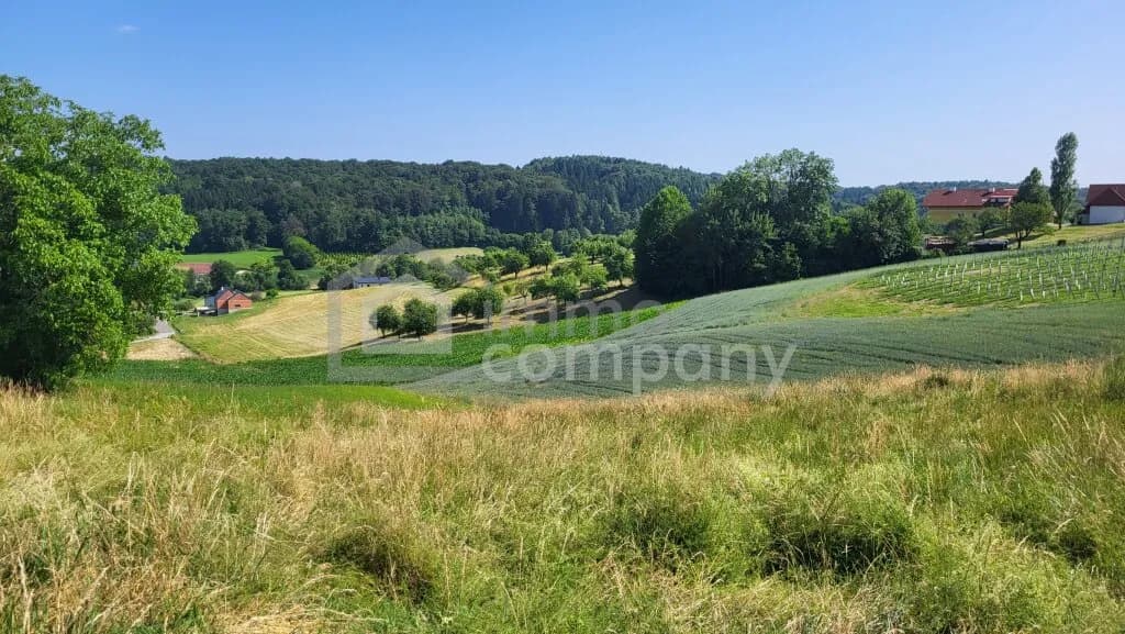 Grundstück kaufen in Südoststeiermark – 1 119 m², € 69.000
