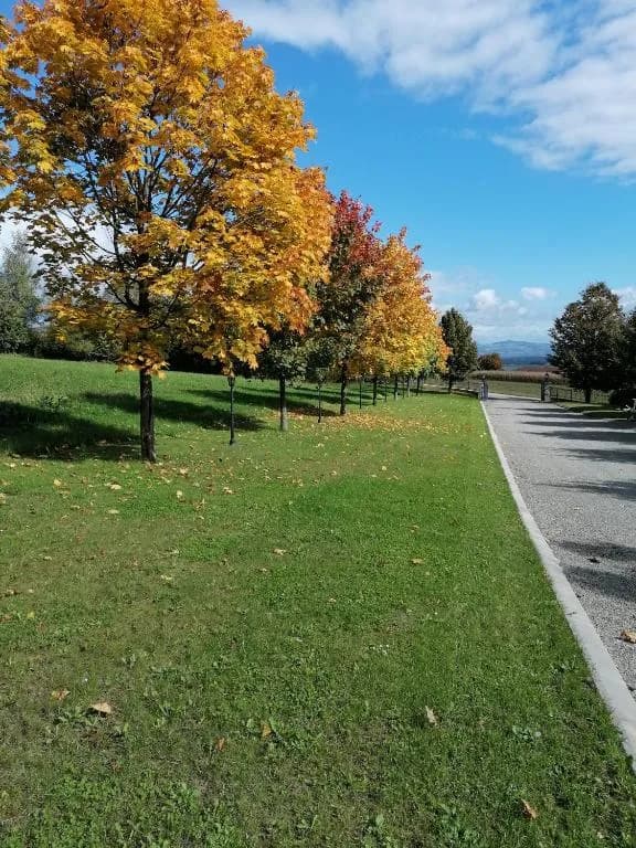 Haus kaufen in Eferding – 450 m², € 1.600.000 – Bild 2 von 30