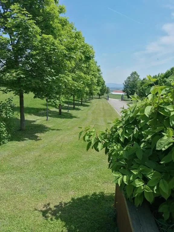 Haus kaufen in Eferding – 450 m², € 1.600.000 – Bild 12 von 30