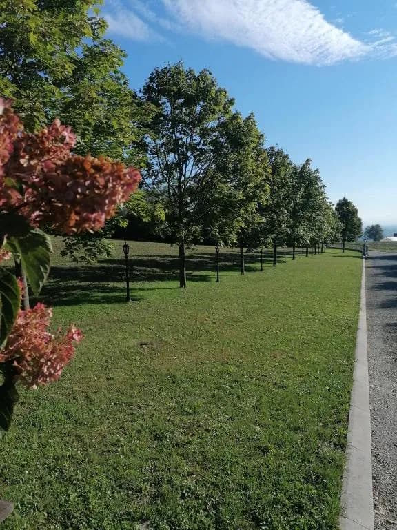 Haus kaufen in Eferding – 450 m², € 1.600.000 – Bild 13 von 30