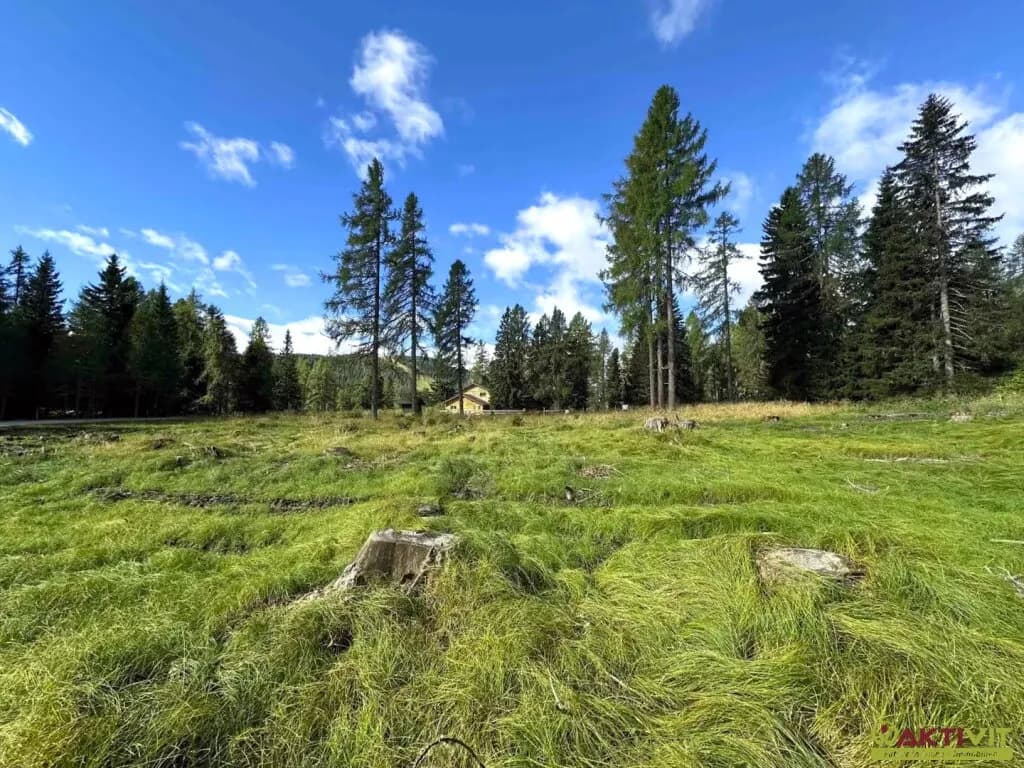 Grundstück kaufen in Feldkirchen – 4 767 m², € 810.390