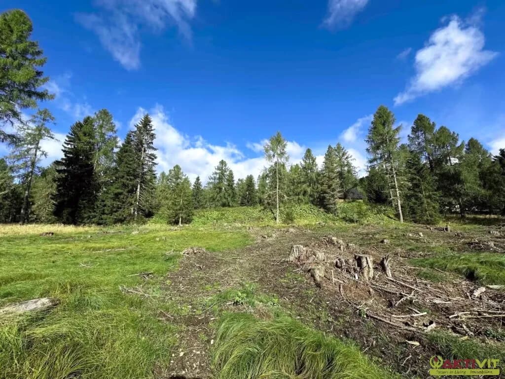 Grundstück kaufen in Feldkirchen – 4 767 m², € 810.390 – Bild 2 von 4