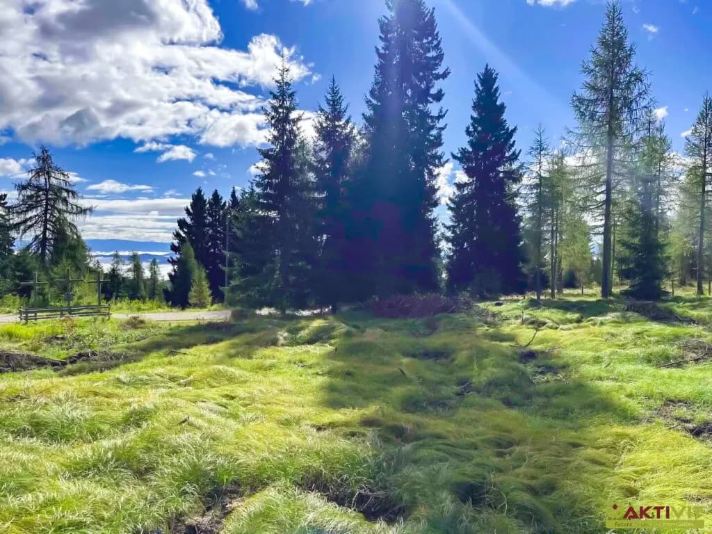Grundstück kaufen in Feldkirchen – 4 767 m², € 810.390 – Bild 4 von 4