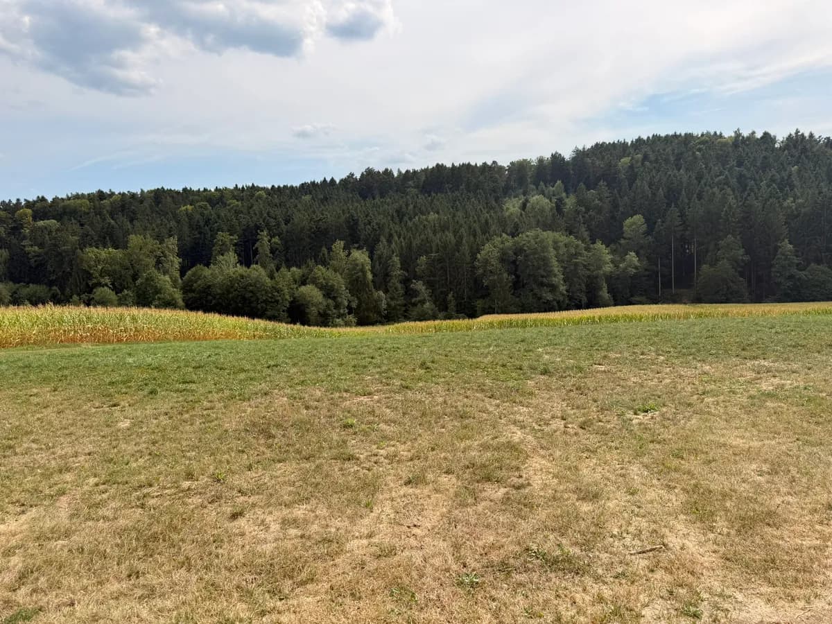 Grundstück kaufen in Weiz – 2 000 m², € 174.000 – Bild 5 von 7