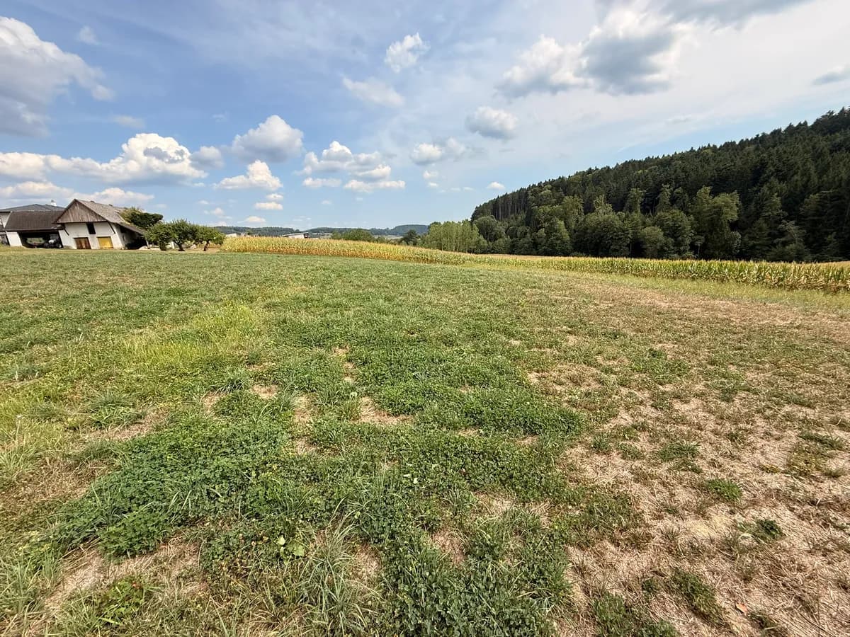 Grundstück kaufen in Weiz – 2 000 m², € 174.000 – Bild 7 von 7