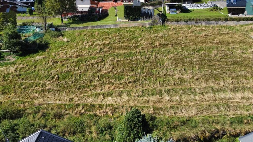 Grundstück kaufen in Feldkirchen – 3 001 m², € 59.000 – Bild 3 von 13
