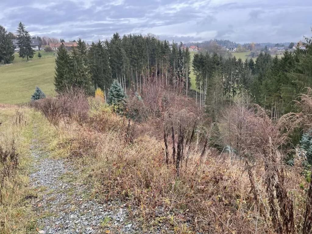 Grundstück kaufen in Graz-Umgebung – 6 142 m², € 798.460 – Bild 5 von 9