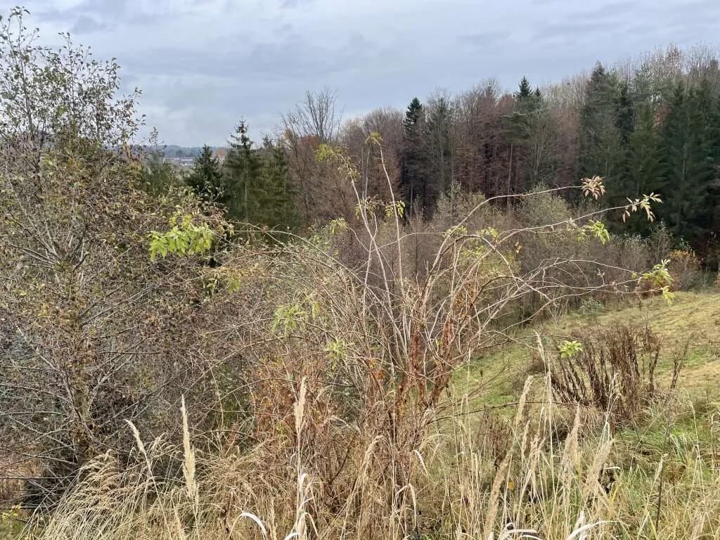 Grundstück kaufen in Graz-Umgebung – 6 142 m², € 798.460 – Bild 6 von 9
