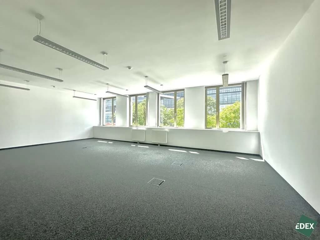 Gewerbeimmobilie mieten in Wien – 337 m², € 17 – Bild 2 von 11