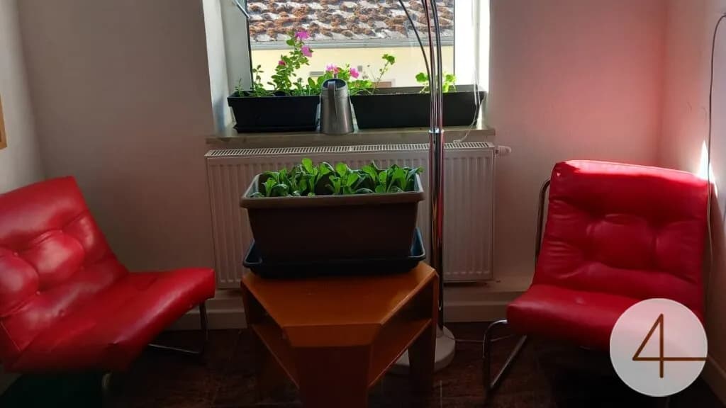 5-Zimmer-Haus kaufen in Gmünd – 379 m², € 189.000 – Bild 6 von 22