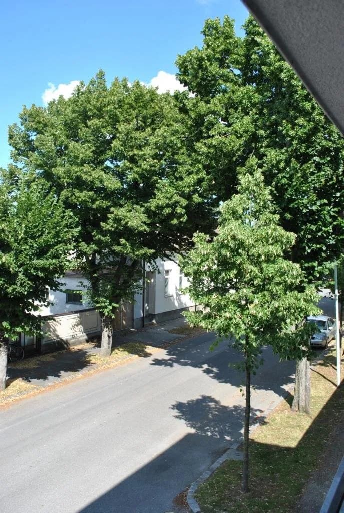 2-Zimmer-Wohnung mieten in Gänserndorf – 44 m², € 690 – Bild 10 von 13