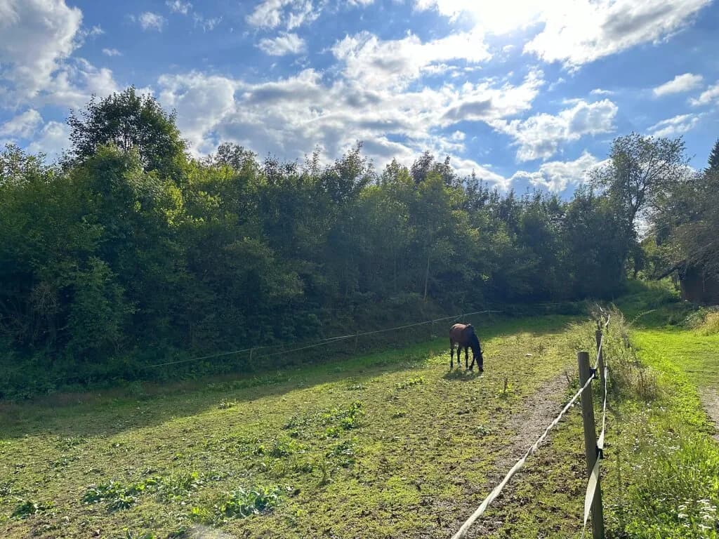 Immobilie kaufen in Klagenfurt – 2 670 m², € 199.500 – Bild 2 von 6