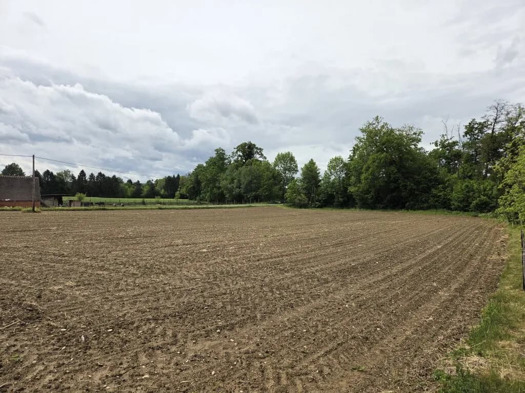 Grundstück kaufen in Südoststeiermark – 2 739 m², € 36.000