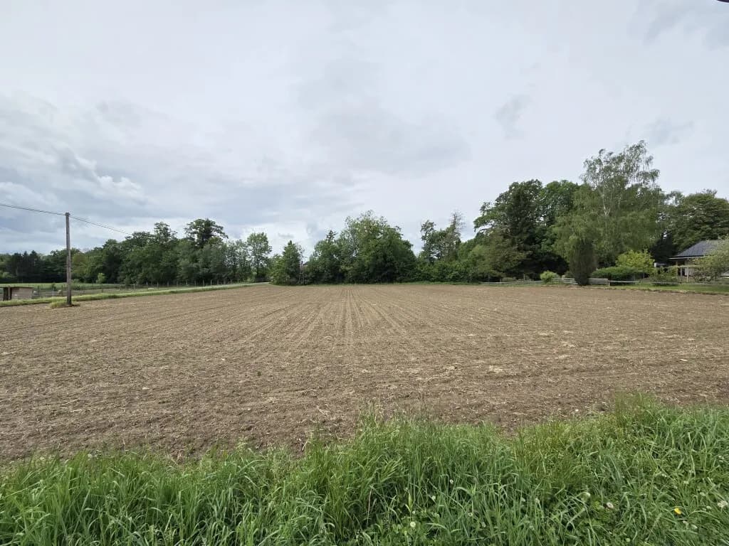 Grundstück kaufen in Südoststeiermark – 2 739 m², € 36.000 – Bild 3 von 4