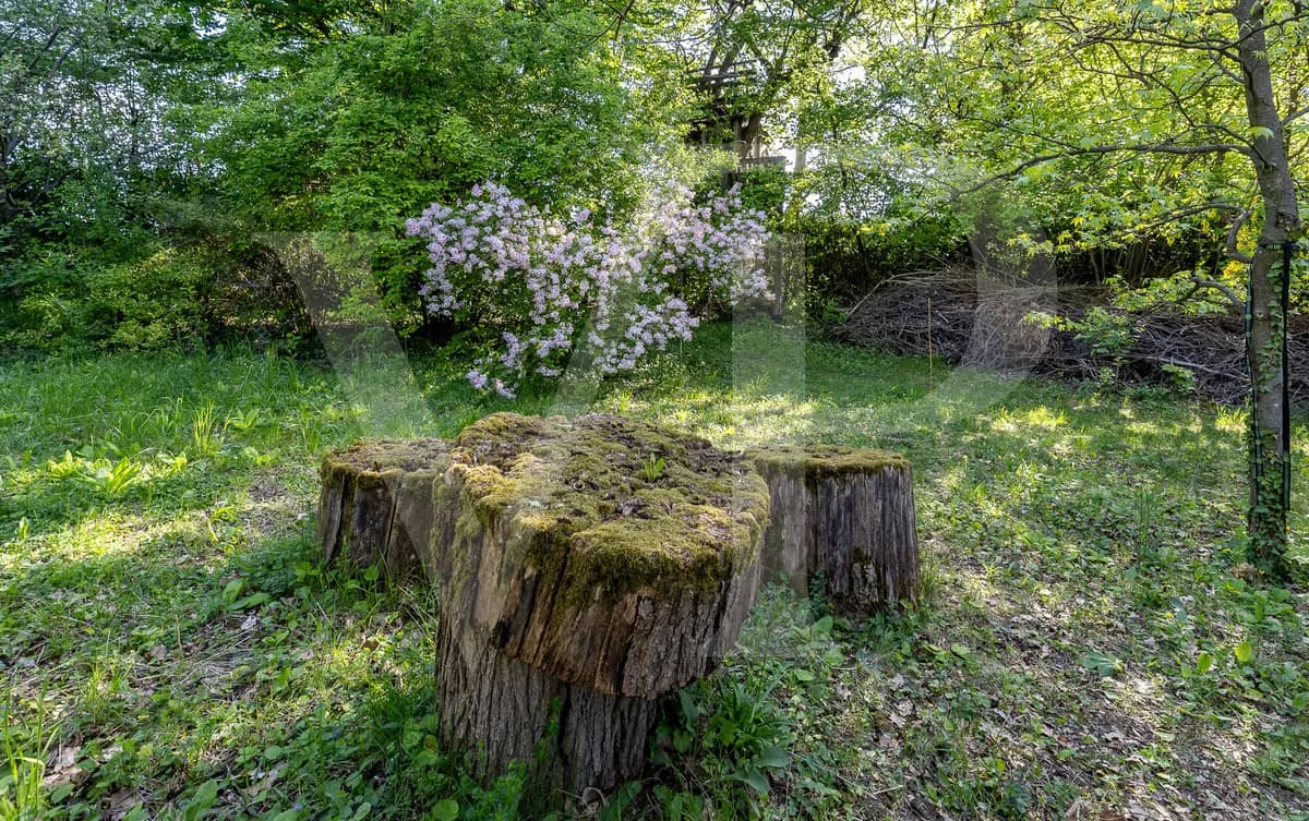 Grundstück kaufen in Wien – 2 991 m², € 6.900.000 – Bild 20 von 23