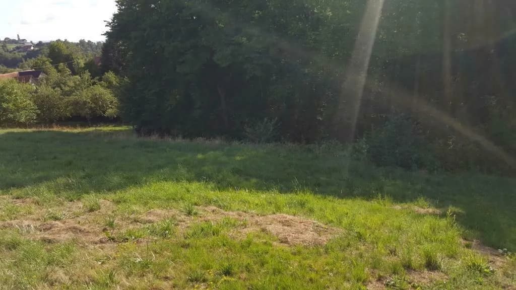 Grundstück kaufen in Leibnitz – 2 118 m², € 49.000 – Bild 4 von 4