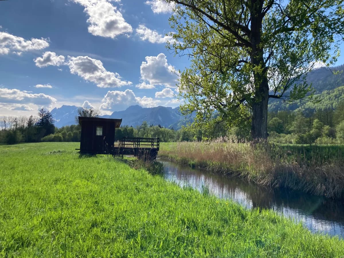 Immobilie mieten in Liezen – € 160 – Bild 2 von 7