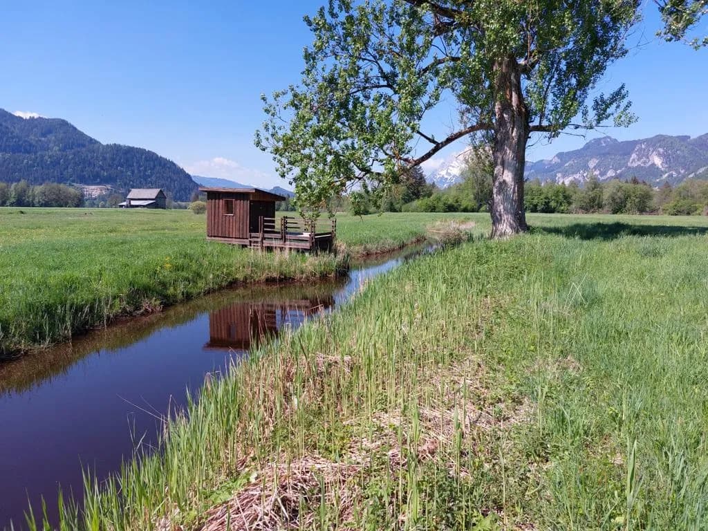 Immobilie mieten in Liezen – € 160 – Bild 3 von 7