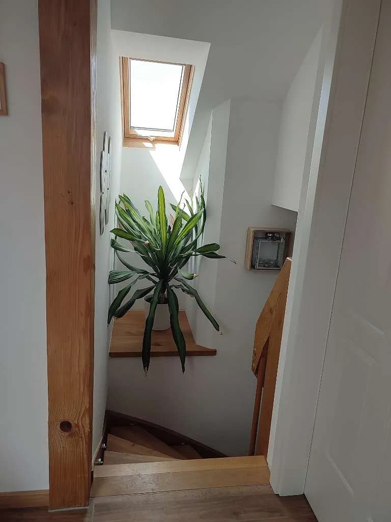 3-Zimmer-Wohnung mieten in Salzburg-Umgebung – 130 m², € 1.200 – Bild 8 von 15