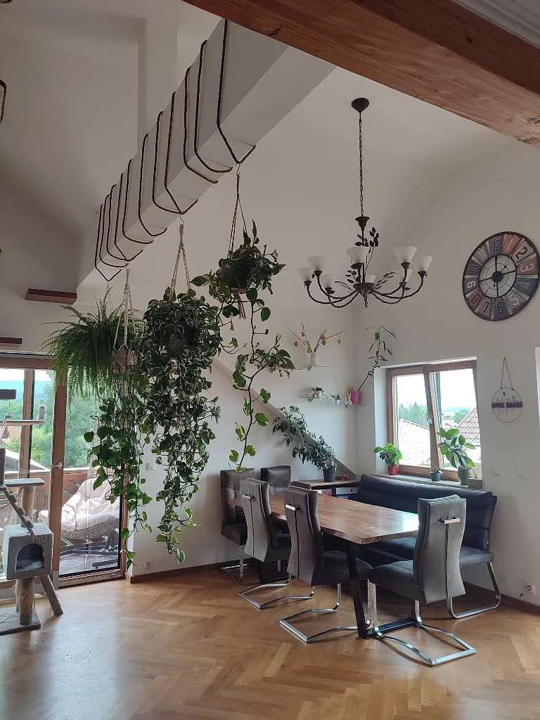 3-Zimmer-Wohnung mieten in Salzburg-Umgebung – 130 m², € 1.200 – Bild 12 von 15