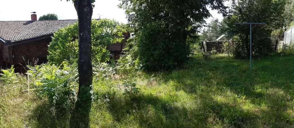 5-Zimmer-Haus mieten in Zwettl – 200 m², € 1.400 – Bild 17 von 19