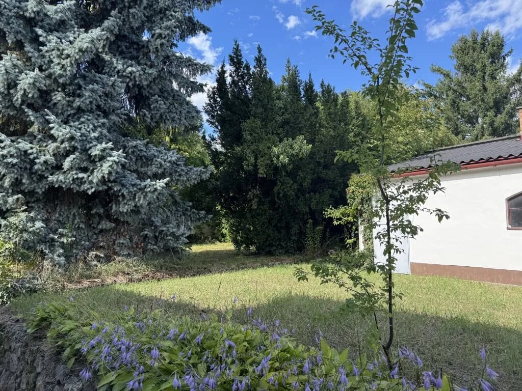 4-Zimmer-Haus mieten in Neunkirchen – 124 m², € 1.595 – Bild 10 von 39