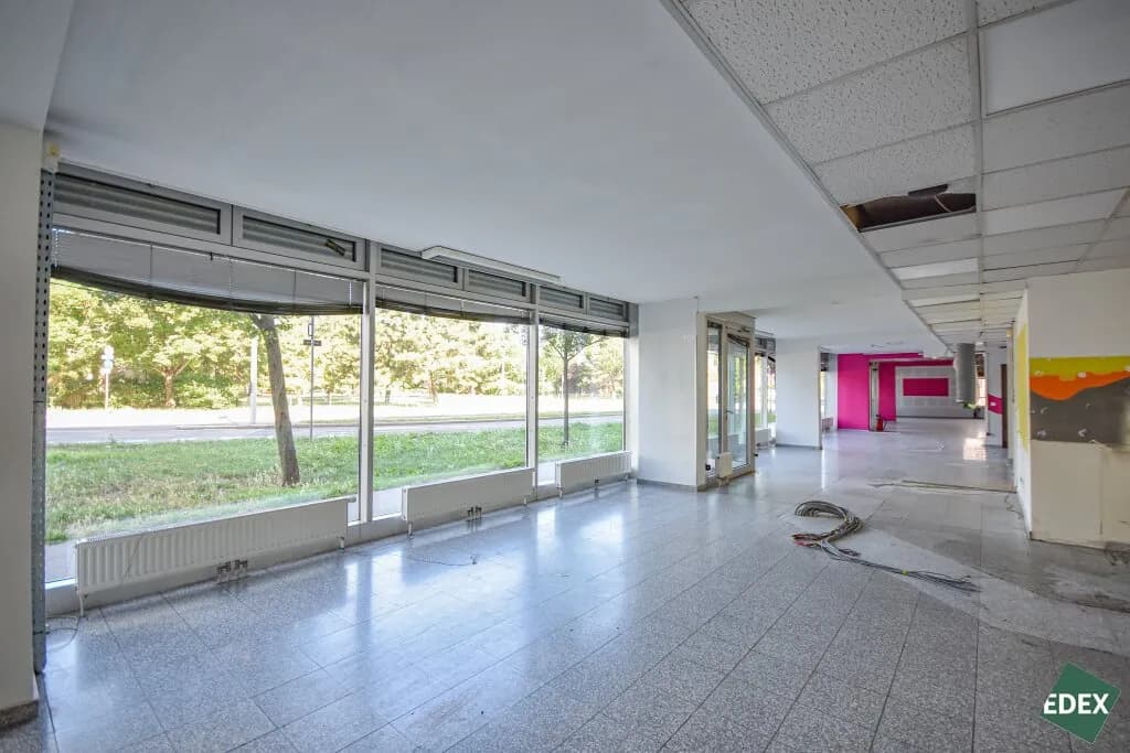 Gewerbeimmobilie mieten in Wien – 310 m², € 3.306 – Bild 4 von 19