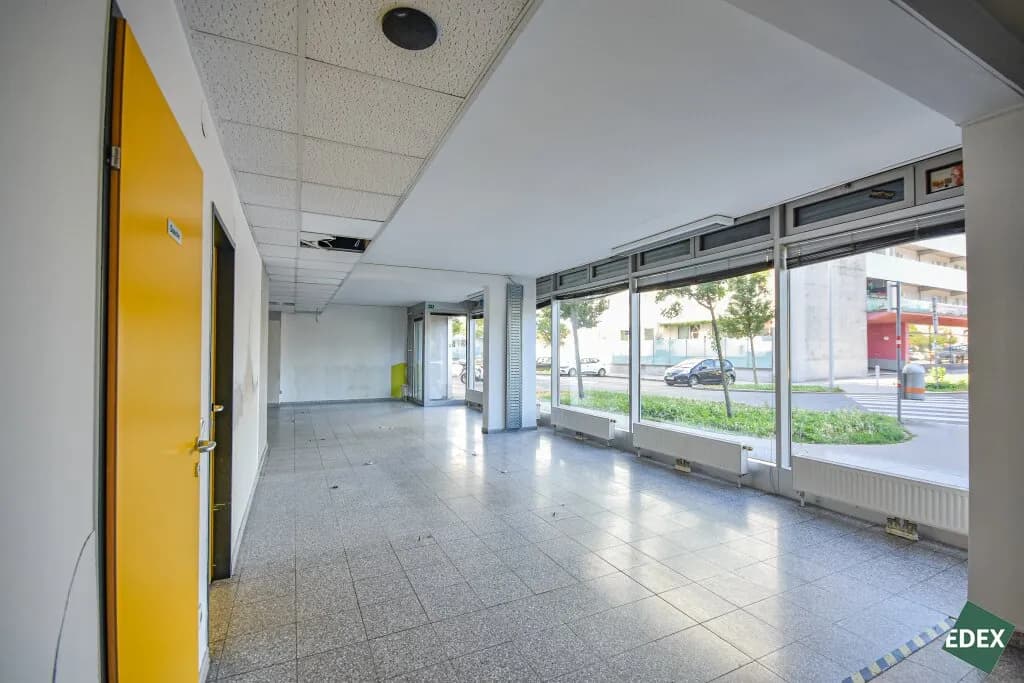 Gewerbeimmobilie mieten in Wien – 310 m², € 3.306 – Bild 11 von 19