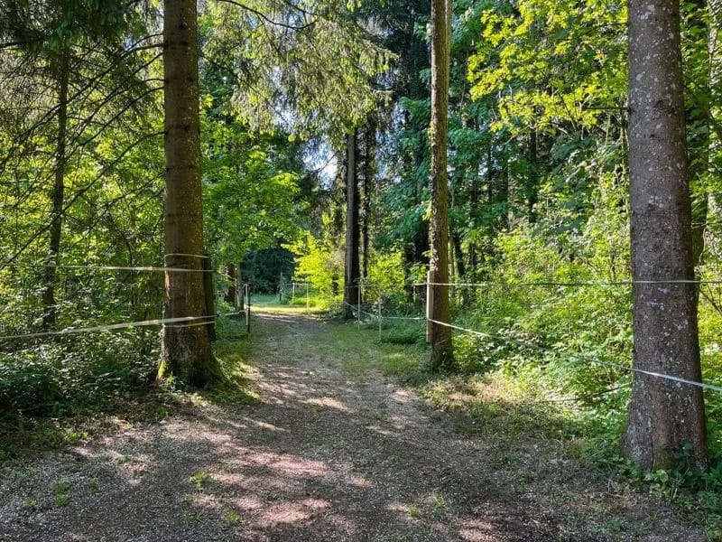 20-Zimmer-Immobilie kaufen in Gmunden – 840 m² – Bild 18 von 24