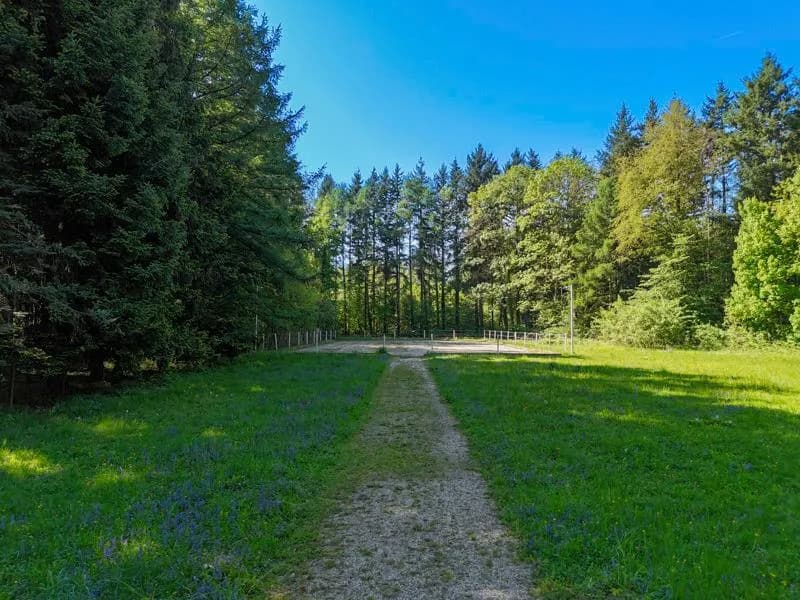 20-Zimmer-Immobilie kaufen in Gmunden – 840 m² – Bild 19 von 24