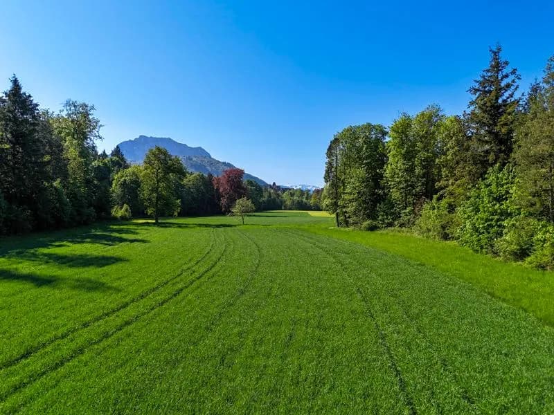 20-Zimmer-Immobilie kaufen in Gmunden – 840 m² – Bild 22 von 24
