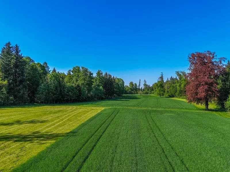 20-Zimmer-Immobilie kaufen in Gmunden – 840 m² – Bild 23 von 24