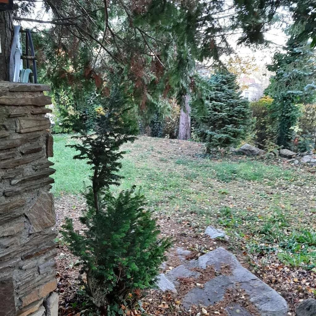 Grundstück kaufen in Wien – 498 m², € 855.000 – Bild 7 von 10
