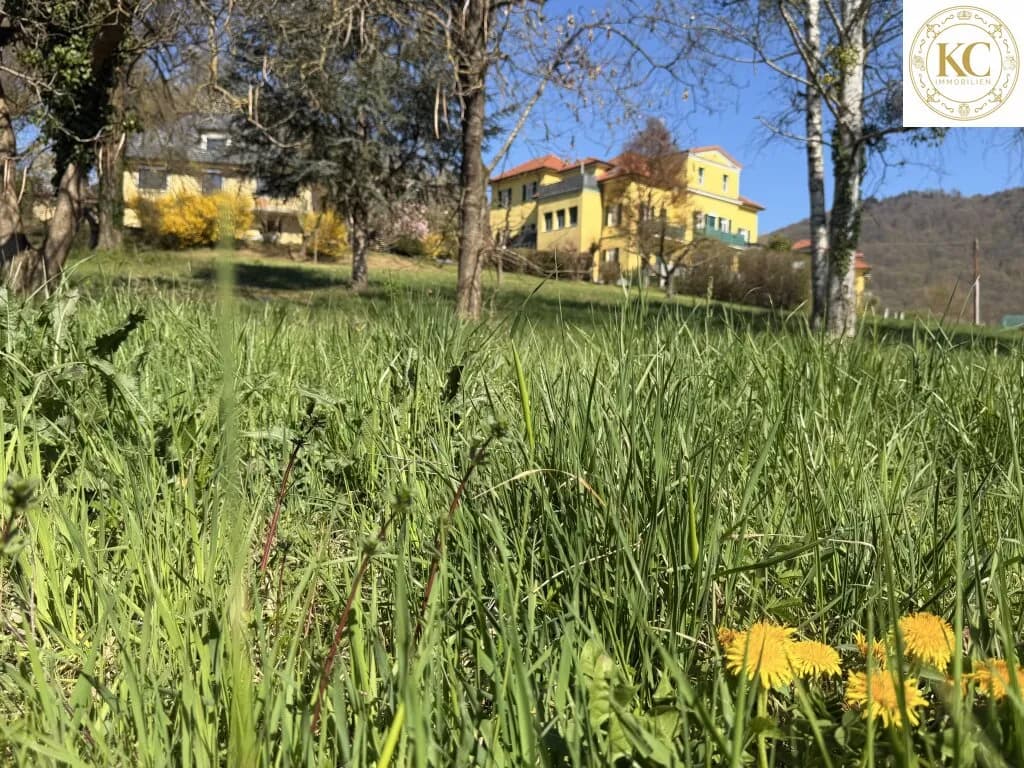 Grundstück kaufen in Südoststeiermark – 1 017 m², € 80.000 – Bild 6 von 9