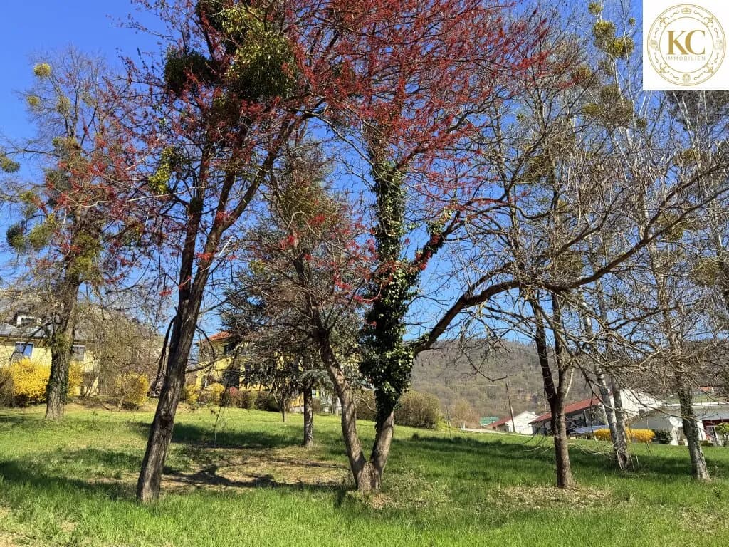 Grundstück kaufen in Südoststeiermark – 1 017 m², € 80.000 – Bild 7 von 9