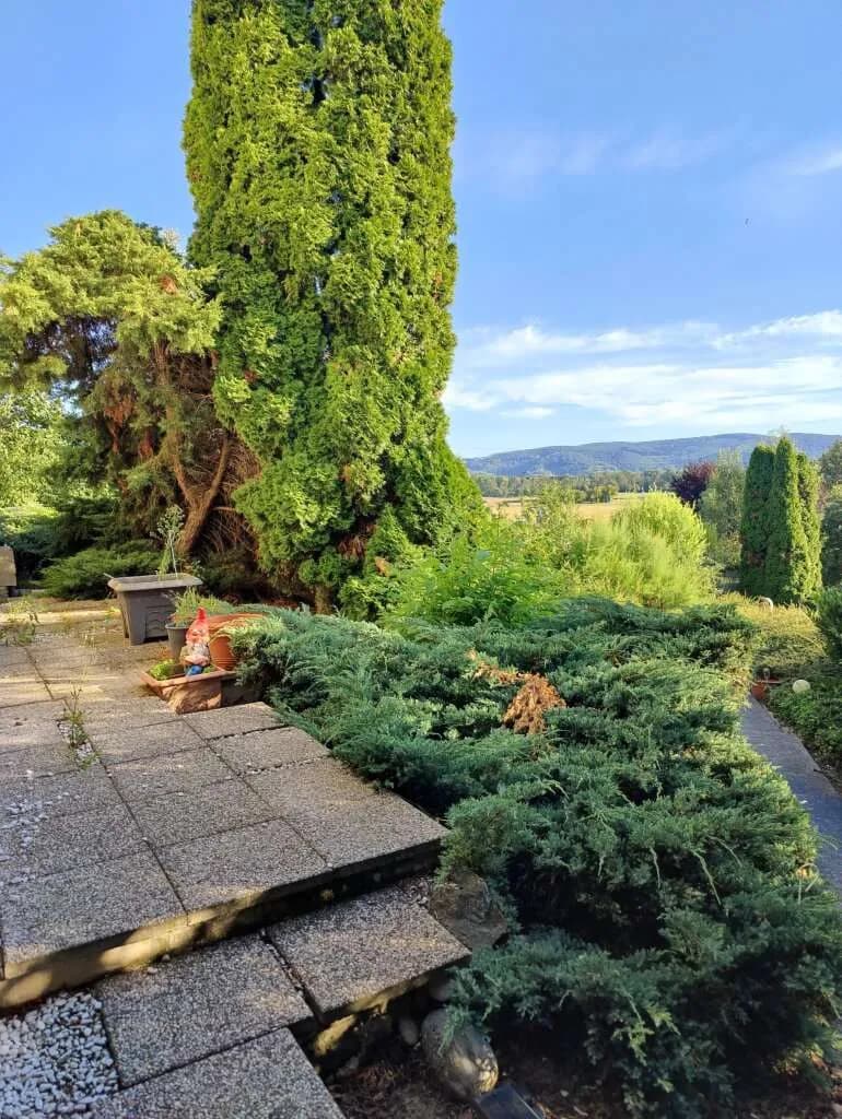 5-Zimmer-Haus kaufen in Korneuburg – 228 m², € 899.000 – Bild 6 von 17